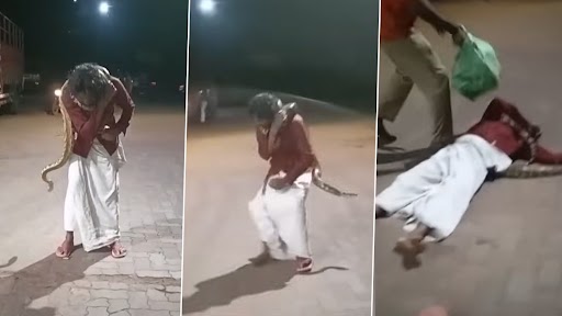 फोटो क्लिक कराने के लिए शराबी शख्स ने गले में लपेट लिया अजगर, फिर जो हुआ... Viral Video देख हो जाएंगे हैरान