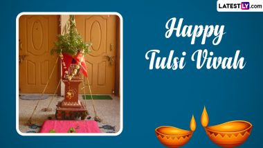 Tulsi Vivah 2023 Pot Decoration Ideas: विवाह के लिए तुलसी के गमले को सजाने के लिए सरल और क्रिएटिव आइडियाज (वीडियो देखें)