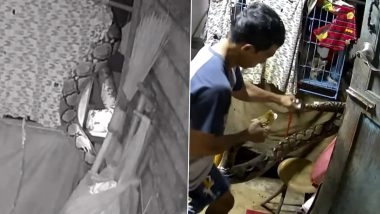Man Saves Cat From Python Video: पालतू बिल्ली को खाने वाला था विशाल अजगर, शख्स ने ऐसे बचाया