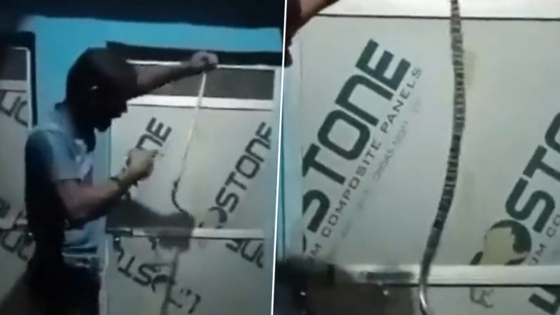 Man Gets Bitten By Snake Video: अपने आपको महादेव का अवतार बताकर सांप के साथ खिलवाड़ कर रहा था युवक, सर्पदंश से हुई मौत