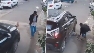 Ghaziabad: कार सवार ने सड़क पर चल रहे कुत्ते को कुचला, CCTV फुटेज आया सामने, जाँच जारी