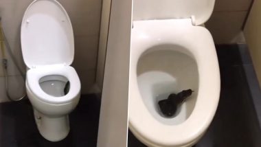 Snake Found In Toilet Seat Video: टॉयलेट सीट में छिपकर बैठा था खतरनाक सांप, इंटरनेट पर मचा हड़कंप