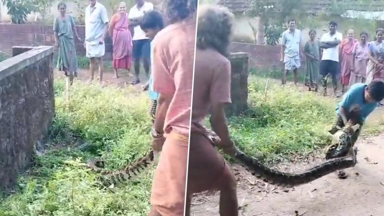 Giant Python Rescue: बच्चे ने विशालकाय अजगर के रेस्क्यू में की मदद, वीडियो देख लोग बोले- बहुत हिम्मत चाहिए