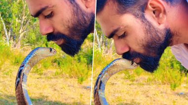 Man Kisses on King Cobra's Head: शख्स ने खतरनाक किंग कोबरा के सिर पर किया किस, देखें वीडियो