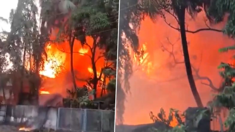 Gujarat Fire Video: वलसाड जिले के उमरगाम में एक कंपनी में लगी भीषण आग, दमकल की 5 गाड़ियां मौके पर मौजूद