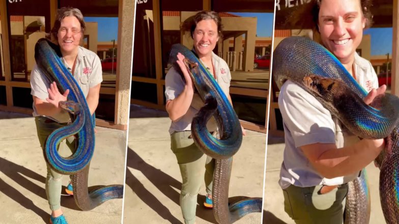 Rainbow Python Viral Video: महिला ने नंगे हाथों से पकड़ा खतरनाक सांप, इंटरनेट पर दहशत में लोग