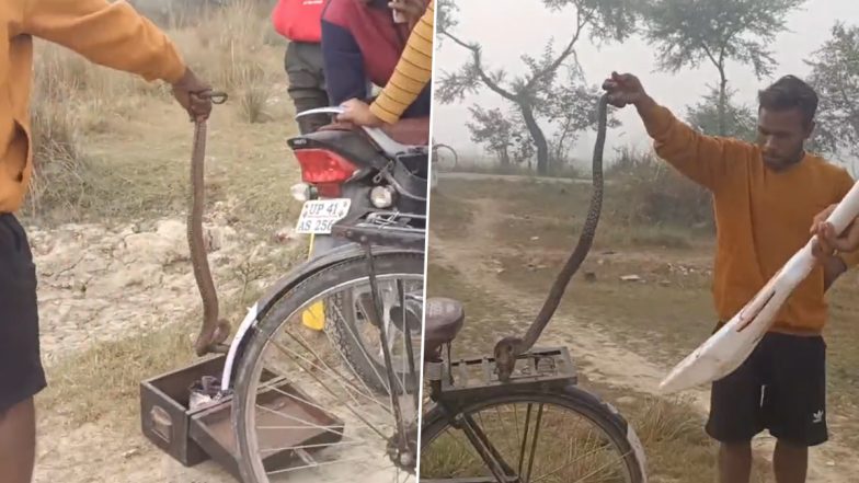 Kids Play Around With Deadly Snake: यूपी में खतरनाक सांप के साथ खेलते दिखे बच्चे, वीडियो देख इंटरनेट परेशान