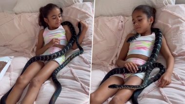 Little Girl Sleeps With Giant Snakes: विशाल सांपों से घिरी बच्ची चैन की नींद सोती है, देखें शॉकिंग वीडियो