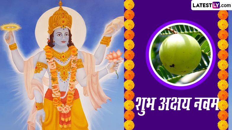 Amla Navami 2023 Greetings: शुभ आंवला नवमी! प्रियजनों संग शेयर करें ये मनमोहक WhatsApp Stickers, GIF Images, HD Wallpapers और Photo Wishes