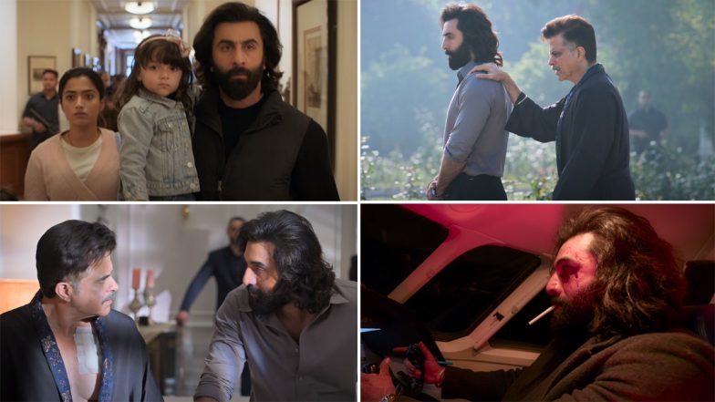 Animal Box Office Collection Day 3: रणबीर कपूर और बॉबी देओल स्टारर 'एनिमल' ने रचा इतिहास,रिलीज के महज 3 दिनों में सभी भाषाओं में किया 200 करोड़ से अधिक का कारोबार!