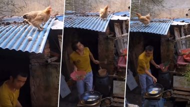 छत से फिसलकर सीधे गर्म कढ़ाई में जा गिरा मुर्गी का अंडा, फिर जो हुआ... Viral Video देख ठहाके लगाकर हंस पड़ेंगे आप
