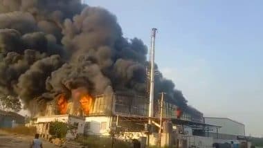 Hyderabad Fire Video: हैदराबाद की थर्माकोल फैक्ट्री में लगी भीषण आग, मौके पर फायर ब्रिगेड की कई गाड़ियां मौजूद