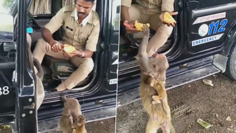 पुलिस वाले ने फल काटकर बंदर को खिलाया, Viral Video देख लोग बोले- शेयरिंग इज केयरिंग