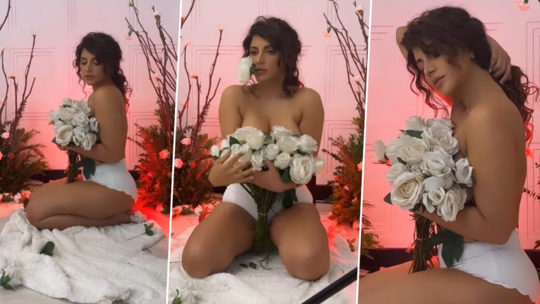 Hot Video Alert: शमा सिकंदर वापस अपने बोल्ड अवतार में आईं नजर, उनके आकर्षण और आत्मविश्वास ने जीता फैंस का दिल (Watch Video)