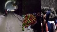 Silkyara Tunnel First Inside Video: सुरंग में फंसे मजदूर ने टनल के अंदर रिकॉर्ड किया था वीडियो, देखें किस हालात में मौत से लड़ रहे थे जंग
