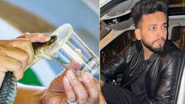 Snake Venom In Rave Party: रेव पार्टी में सांप के जहर का क्या काम? जानें कैसे फंस गए एल्विश यादव