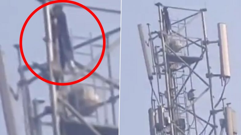 UP: बॉयफ्रेंड ने शादी से किया इनकार तो नाराज होकर प्रेमिका मोबाइल टावर पर चढ़ी, 'शोले' स्टाइल में किया ड्रामा, देखें वीडियो