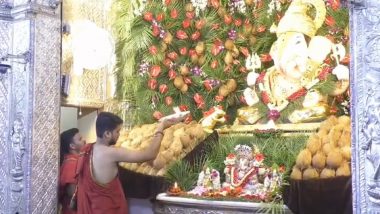 1100 Coconuts Offered to Dagdusheth Ganpati: उमांगमलज जन्मोत्सव के अवसर पर दगडूशेठ गणपति को चढ़ाए गए 1100 नारियल | Video