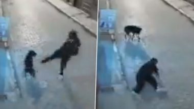 Instant Karma: राह चलते समय कुत्ते से शख्स ने ले लिया पंगा, लेकिन तुरंत मिल गया उसे कर्मों का फल (Watch Viral Video)