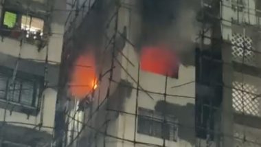 Video: नवी मुंबई के सानपाड़ा में आवासीय बिल्डिंग में लगी भीषण आग, किसी के हताहत होने की खबर नहीं