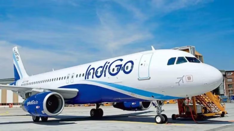 Live insect found in Indigo flight Sandwich: इंडिगो की फ्लाइट में यात्री को परोसे सैंडविच में जिंदा कीड़ा मिला