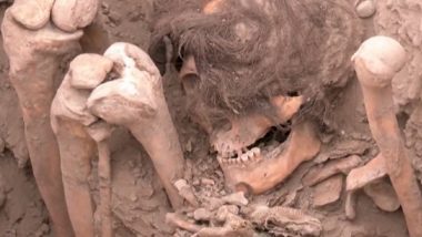 Mummy Video: गजब! पेरू में मिली लंबे बालों वाली 1000 साल पुरानी ममी, वीडियो देख हो जाएंगे हैरान