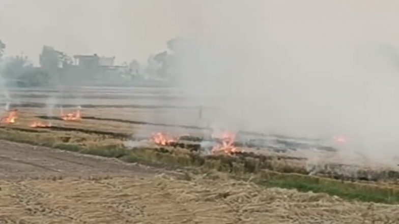 Air Pollution: दिल्ली में फूल रही सांस लेकिन पंजाब पर SC के फैसले का भी असर नहीं, खूब जल रही पराली | Video