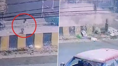 Punjab Accident Video: जालंधर में तेज रफ्तार कार ने शख्स को मारी टक्कर, व्यक्ति गंभीर रूप से घायल, कैमरे में कैद हुआ भयावह दृश्य