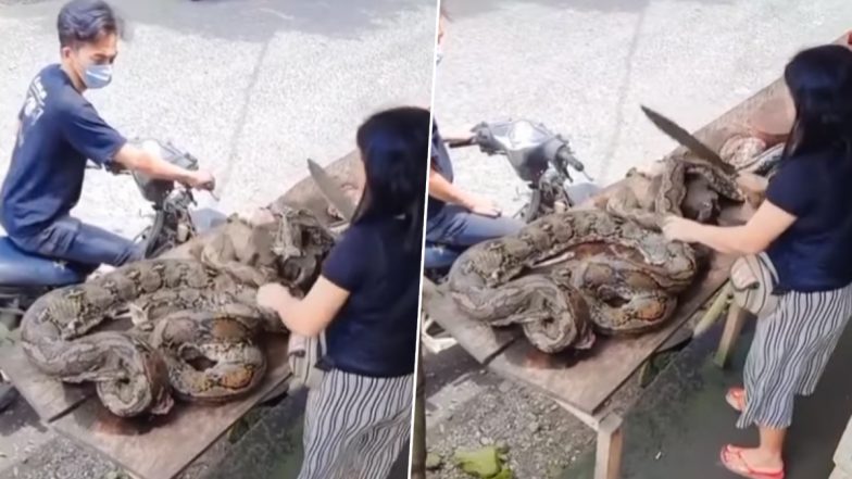 Viral Video: स्टॉल लगाकर भारी-भरकम अजगर का मांस बेचती दिखी महिला, रोंगटे खड़े करने वाला वीडियो हुआ वायरल