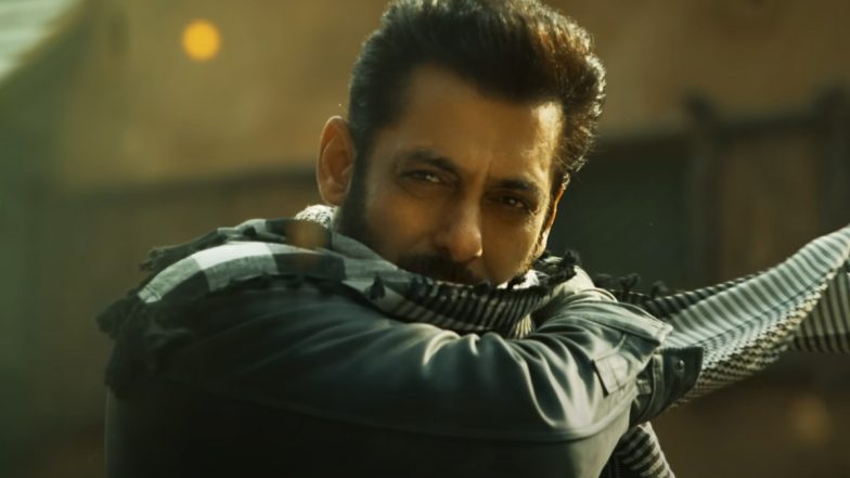 Tiger 3 देखने गए फैंस ने थिएटर में फोड़े पटाखे, आतिबाजी पर Salman Khan ने कही ये बात