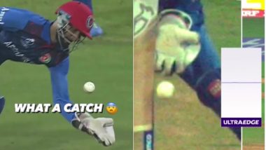 Ikram Alikhil Takes Stunning Catch: ऑस्ट्रेलिया के खिलाफ मैच में इकराम अलीखिल ने विकेट के पीछे लपका शानदार कैच, मिचेल स्टार्क ने DRS लेने से किया परहेज, देखें वीडियो