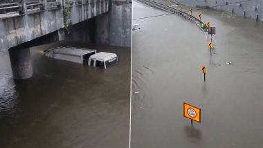 Tamil Nadu Heavy Rainfall: चेन्नई शहर में भारी बारिश के कारण गंभीर जलजमाव, थिल्लई गंगा नगर सबवे को किया गया बंद- Video
