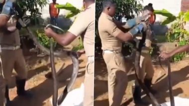 King Cobra Video: तमिलनाडु के एक घर में घुसा था 14 फीट लंबा किंग कोबरा, वन विभाग ने किया रेस्क्यू