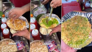 Chikki Chaat Video: सूरत में यह शख्स बेच रहा है चिक्की चाट, वीडियो देख इंटरनेट पर भड़के लोग