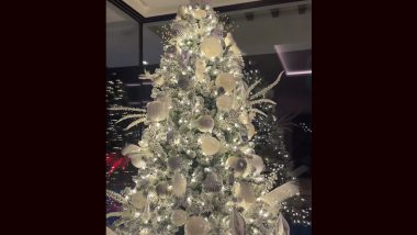 MS Dhoni House Christmas Tree Video: एमएस धोनी की पत्नी साक्षी ने छुट्टियों के मौसम के लिए खूबसूरती से सजाए गए क्रिसमस ट्री, इंस्टाग्राम पर शेयर किया वीडियो