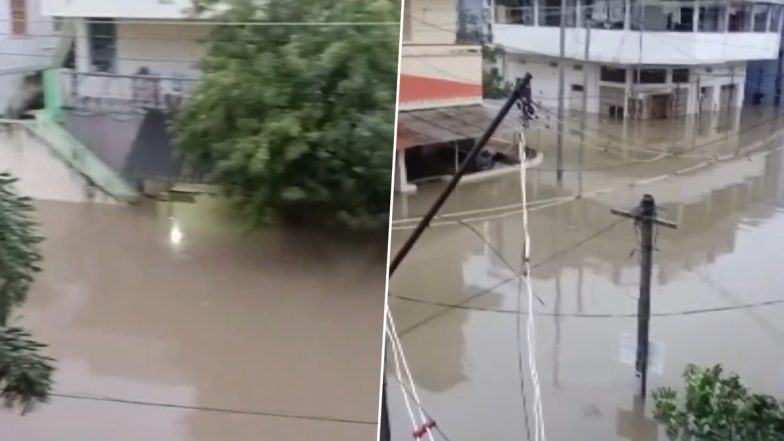 Tamil Nadu Heay Rains: तिरुनेलवेली में लगातार बारिश के कारण सेल्वी नगर, सिंधुपुनदुरई के आवासीय क्षेत्रों में भरा पानी, देखें वीडियो