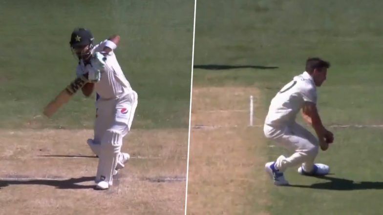 Pat Cummins Brilliant Catch: पैट कमिंस ने अपनी ही गेंद पर लपका शानदार कैच, अब्दुल्ला शफीक को किया आउट