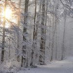Winter Season: आइए जानें कि सर्दी का मौसम आपके दिमाग और व्यवहार को कैसे प्रभावित कर सकता है