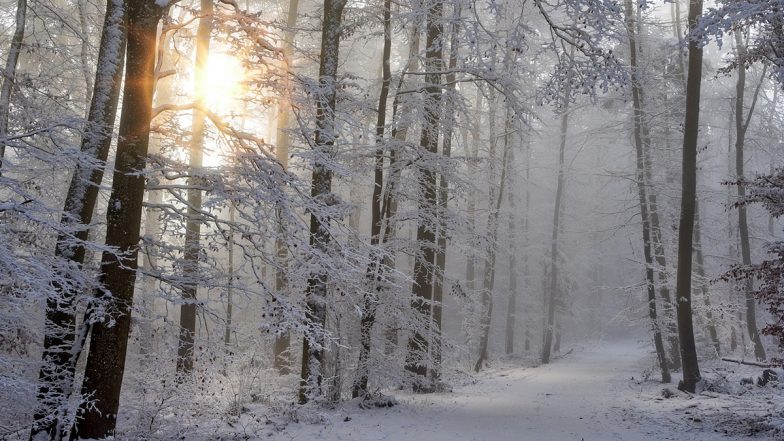 Winter Season: आइए जानें कि सर्दी का मौसम आपके दिमाग और व्यवहार को कैसे प्रभावित कर सकता है