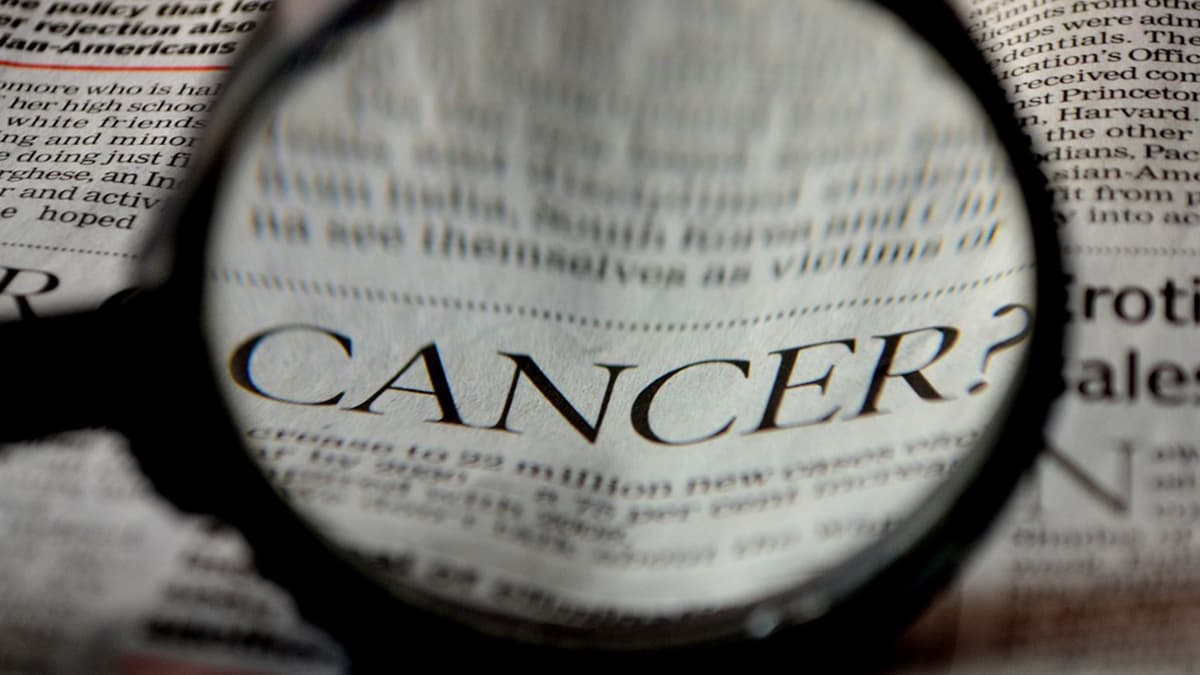 Cancer के उपचार में सहायक पौधे की कोशिकाएं की गई विकसित