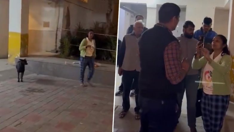 Fight Video: नोएडा की महिला ने आवारा कुत्तों को खाना खिलाने को लेकर की लड़ाई, देखें वीडियो