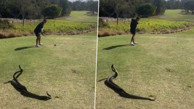 Video: डरावना! गोल्फ खेल रहे ऑस्ट्रेलियाई शख्स के ठीक पीछे आपस में भिड़े दो सांप, वीडियो हुआ वायरल