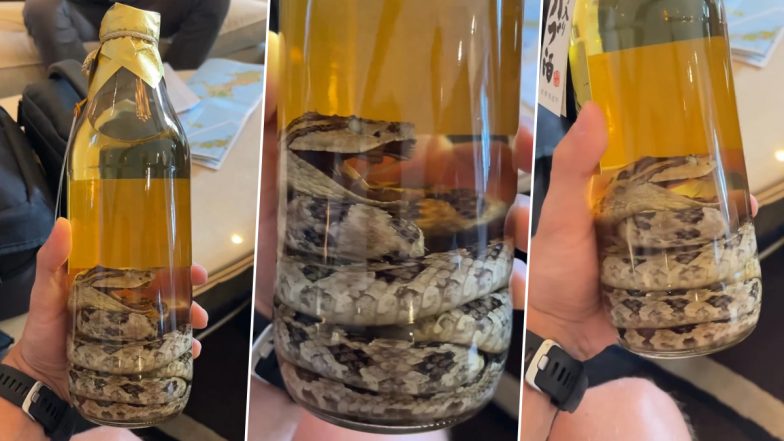 Snake Whiskey: जापान की स्नेक व्हिस्की का क्लिप वायरल, बोतल में पिट वाइपर देख सभी हैरान