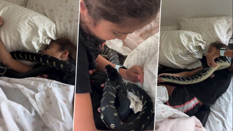 Girl Sleeps With Snake: अपने चारों ओर सांप से लिपटकर सोती है ये छोटी सी लड़की, वीडियो देख लोग दंग