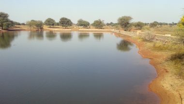 Pond Stolen In Darbhanga Video: रातों रात गायब हो गया तालाब, बिहार के दरभंगा में भू-माफिया ने मिट्टी भरकर बनाया झोपड़ी, देखें विडियो