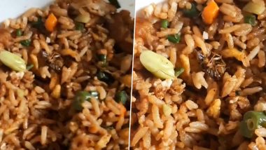 Cockroach In Chicken Fried Rice: Zomato से ऑर्डर किए चिकन फ्राइड राइस में निकला कॉकरोच, शिकायत पर कंपनी ने दिया ये जवाब