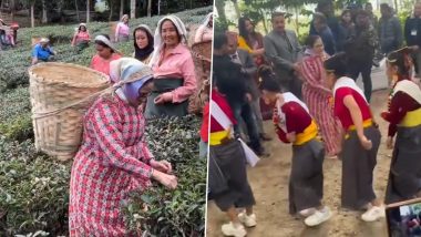 Mamata Banerjee Video: दार्जिलिंग में CM ममता बनर्जी ने पारंपरिक कपड़े पहन तोड़ी चाय की पत्तियां, बागान श्रमिकों के साथ किया डांस