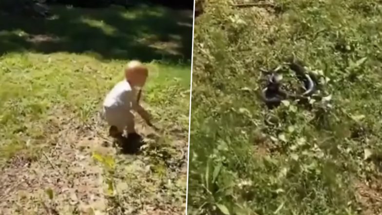 Viral Video: बच्चे ने सांप को समझ ली टहनी, हाथ में उठाकर फेंका पेट डॉग की ओर