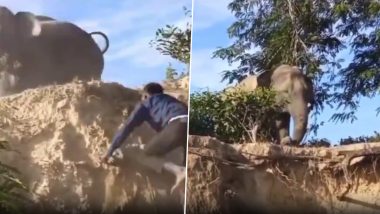 Viral Video: लड़कों ने हाथी को चप्पलों से डराने की कोशिश की, डिस्टर्बिंग वीडियो देख भड़के लोग
