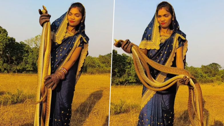 Viral Video: महिला ने अपने नंगे हाथ से एक साथ पकड़ा ढेर सारा सांप, इंटरनेट पर डरावना वीडियो वायरल